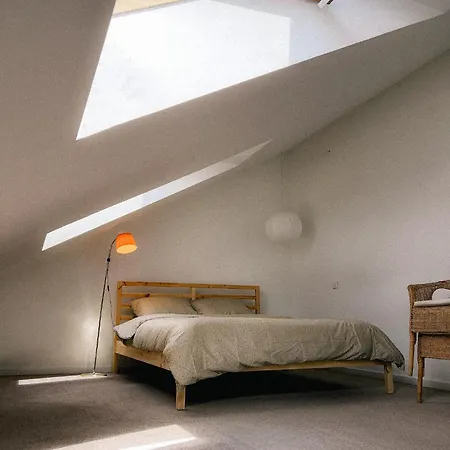 Designer Attic With Fireplace, Center Appartamento Vilnius